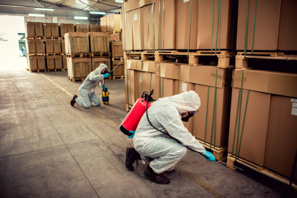 Best Termite Control Services  in Richwood, TX