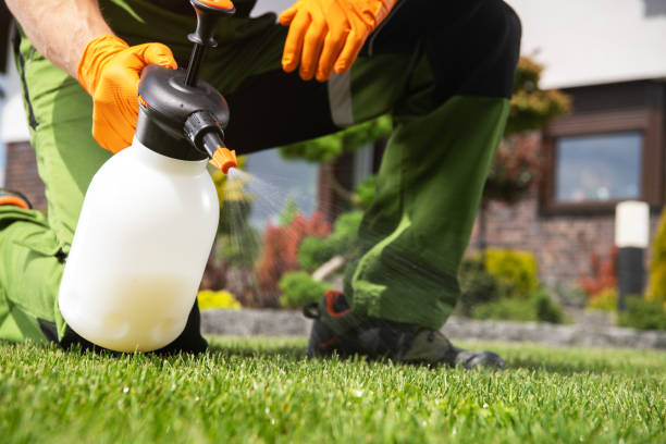 Best Affordable Pest Control Services  in Richwood, TX