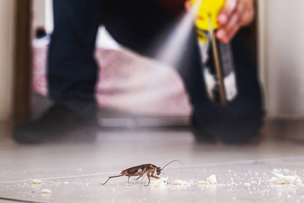 Best Residential Pest Control  in Richwood, TX